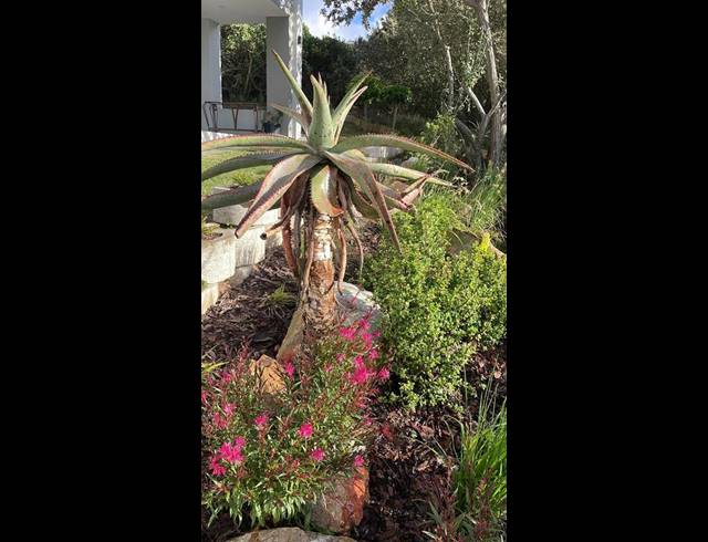 4 BEDROOM HOUSE FOR SALE IN PINNACLE POINT GOLF ESTATE